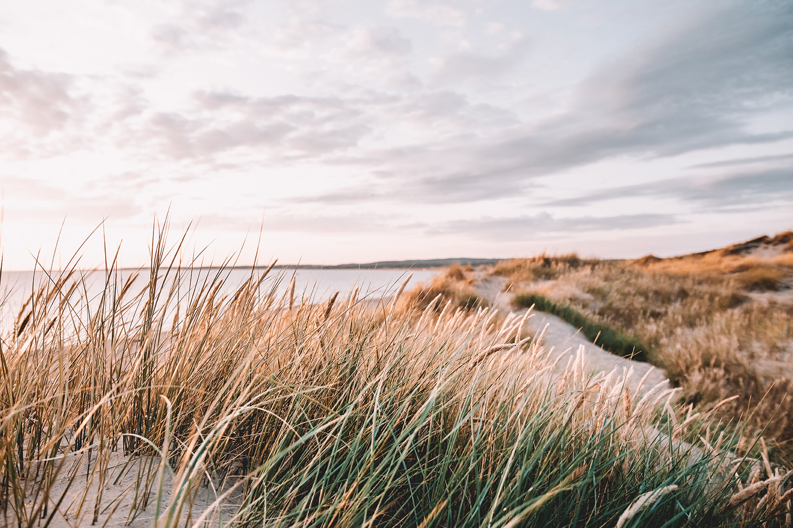 Bilden visar en strand en sen tidig vårkväll